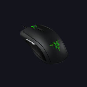 Mouse