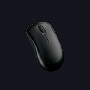mouse